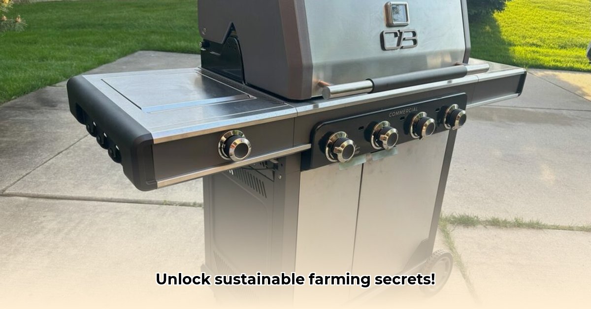 charcoal-grills-tractor-supply